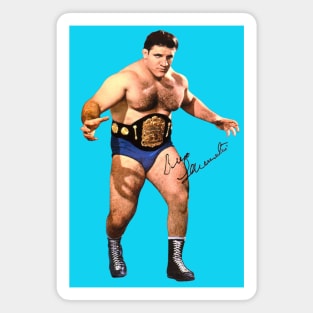 Bruno Sammartino Magnet